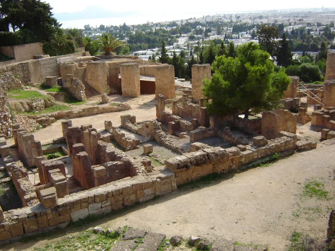 Tepe yamacında düzenli taş temellerden oluşan kalıntılar; aralarında patikalar, geride serviler ve modern binalar.
