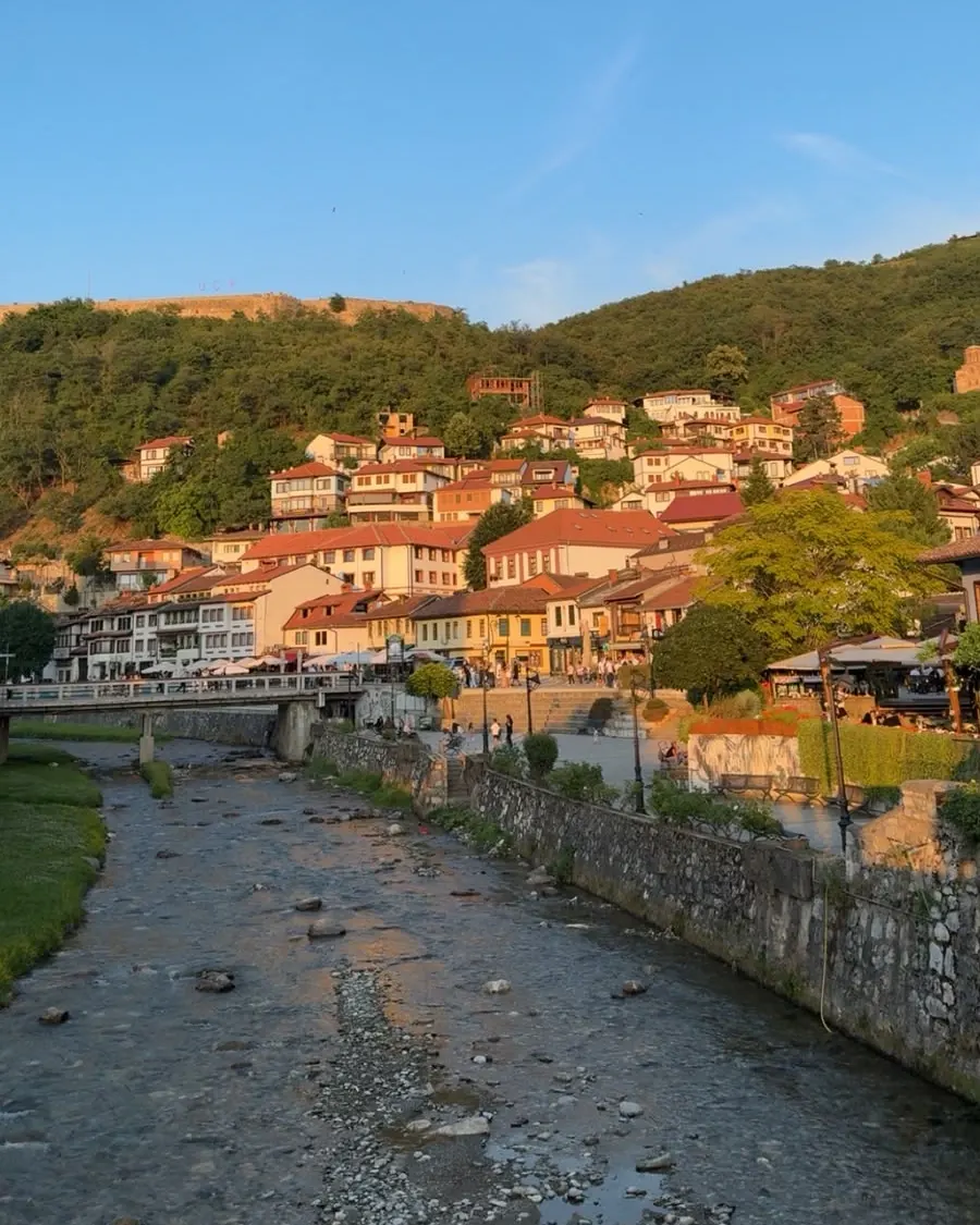 Özet geçiyorum 🐾🌲