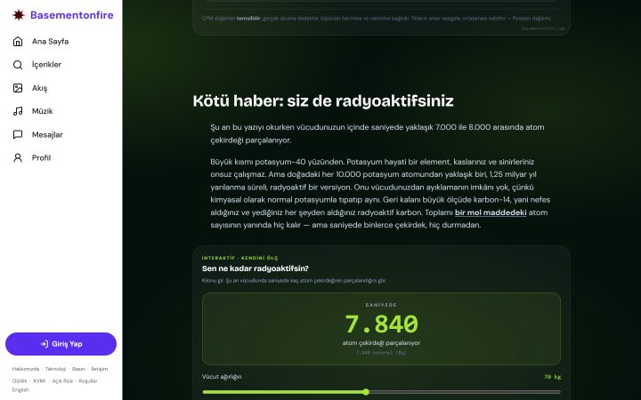 Simülasyon — koyu ekran görüntüsü